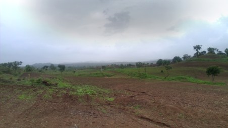IMAG6288