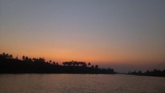 IMAG8714